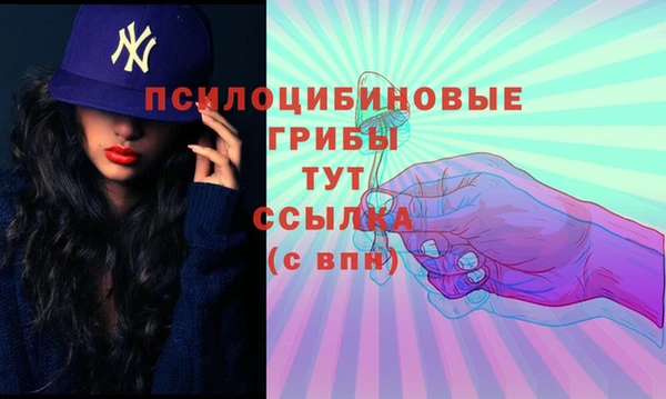 дурь Алексеевка