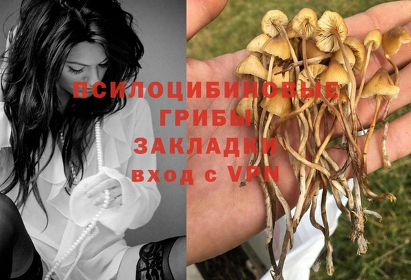 марки nbome Алзамай