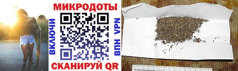 как найти закладки Хвалынск Галлюциногенные грибы Psilocybine cubensis