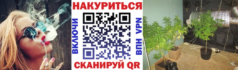 Марихуана SATIVA & INDICA  купить  сайты  Хвалынск 